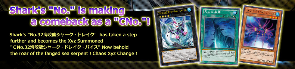 Shark's 「No.」 is making a comeback as a 「CNo.」!